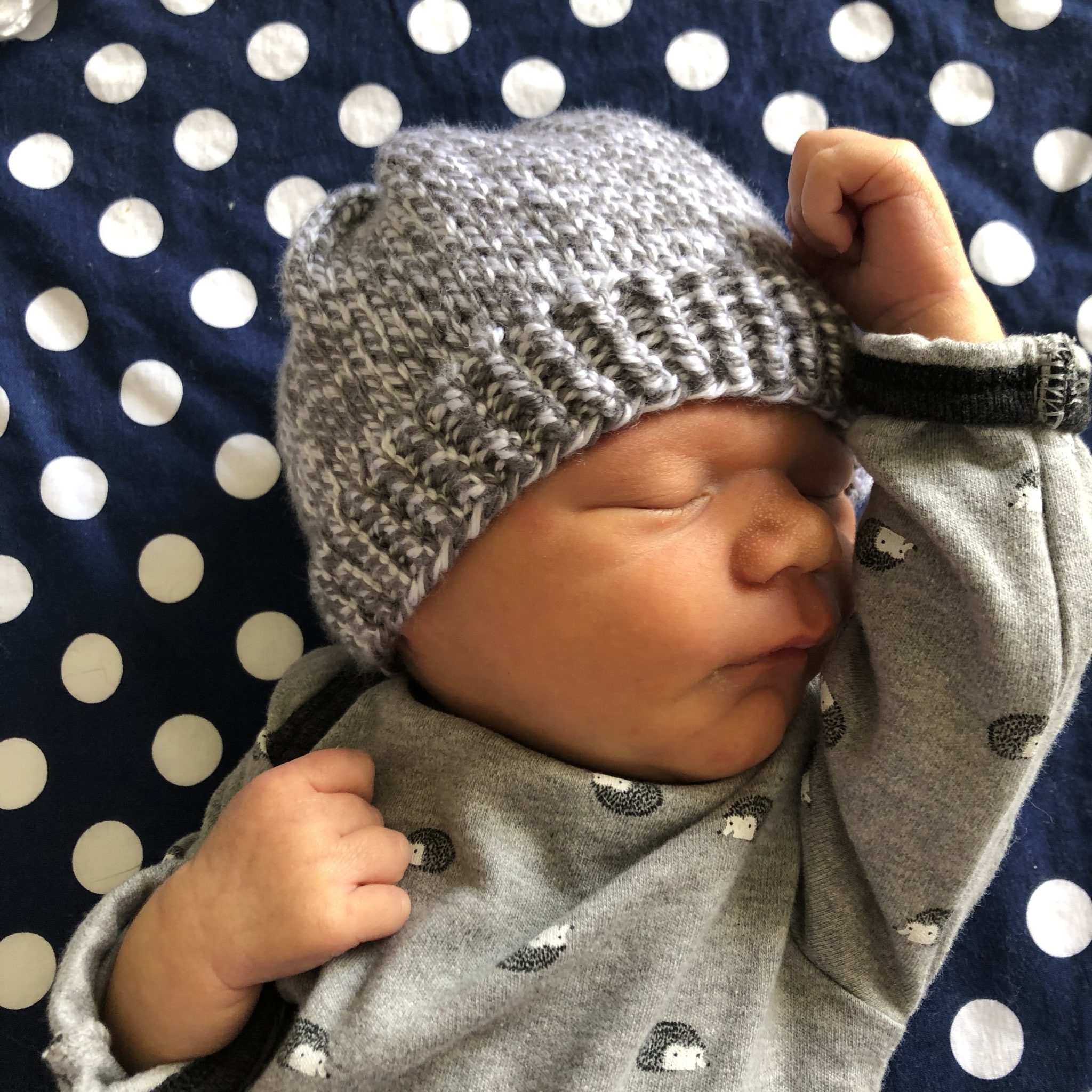 Get the free pattern to knit the Baby Beanie Knitting in the Park